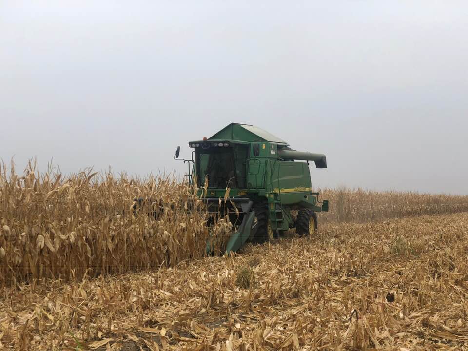 Guvernul acordă sprijin financiar de urgență producătorilor agricoli din sectorul vegetal care au avut pierderi economice din cauza creșterii importurilor de cereale și semințe oleaginoase din Ucraina.