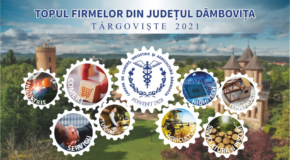 Reușită în afaceri. 493 de companii din județ s-au clasat pe primul loc în Topul Firmelor din Dâmbovița 2021 realizat de Camera de Comerț, Industrie și Agricultură