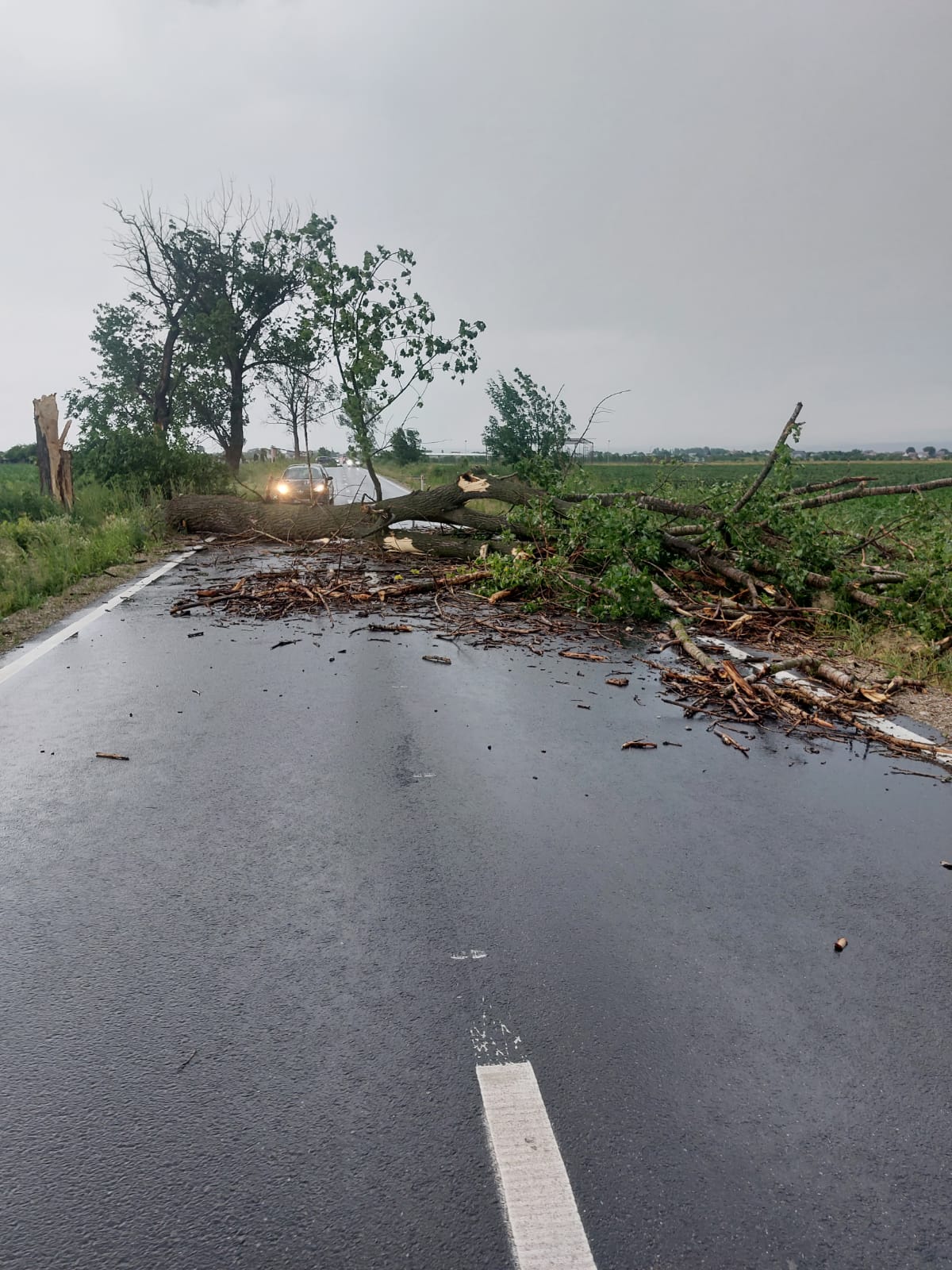 Vântul puternic și cantitățile mari de precipitații au creat probleme în mai multe localități ale județului. Recomandări ISU Dâmbovița.